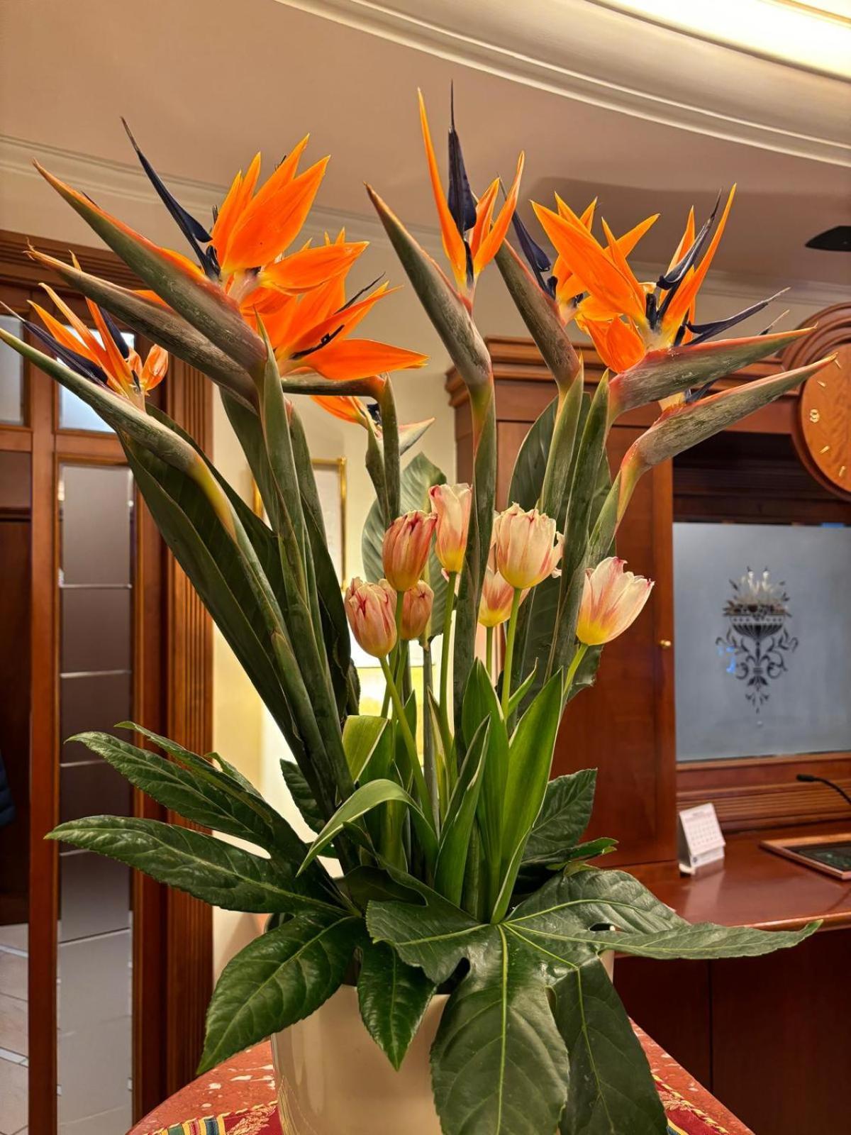 Hotel Valle Rossa San Giovanni Rotondo Ngoại thất bức ảnh